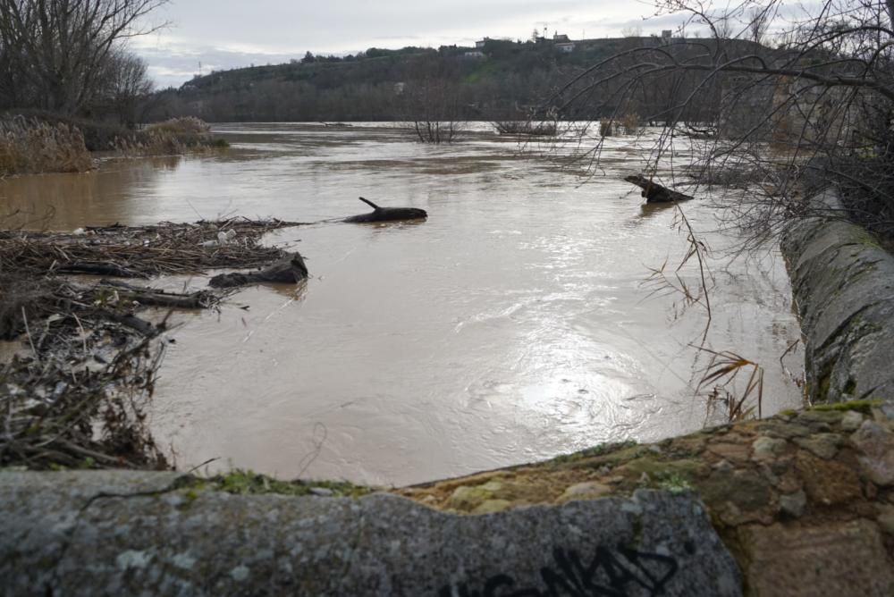 El río Duero a su paso por Zamora capital.