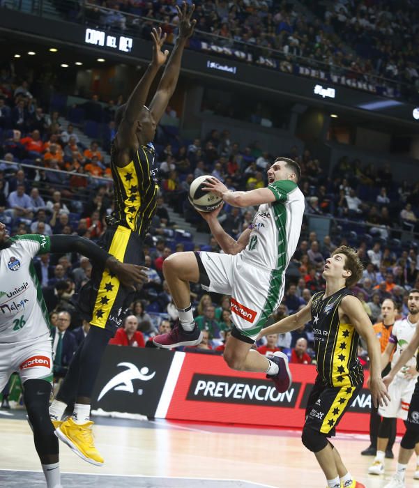 Copa del Rey 2019 | Iberostar Tenerife 88-78 Unicaja CB