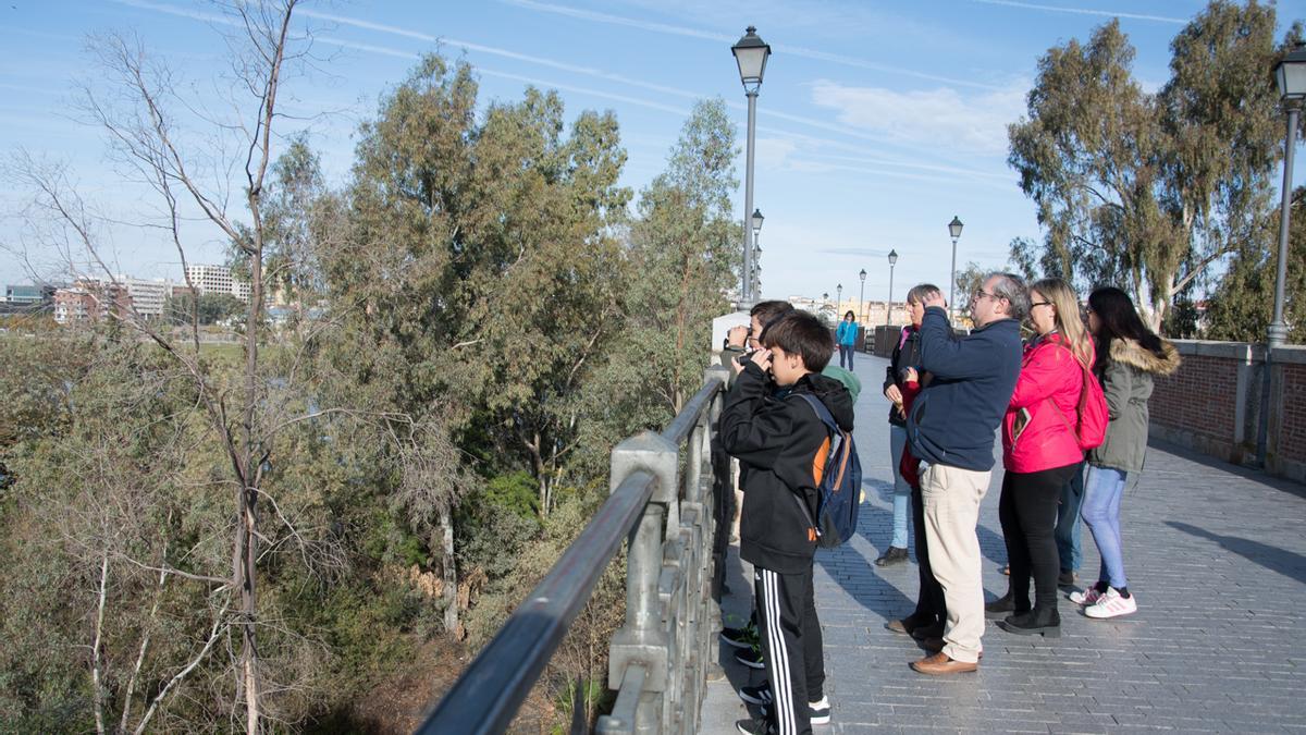 Actividad de observación de aves en el Guadiana.