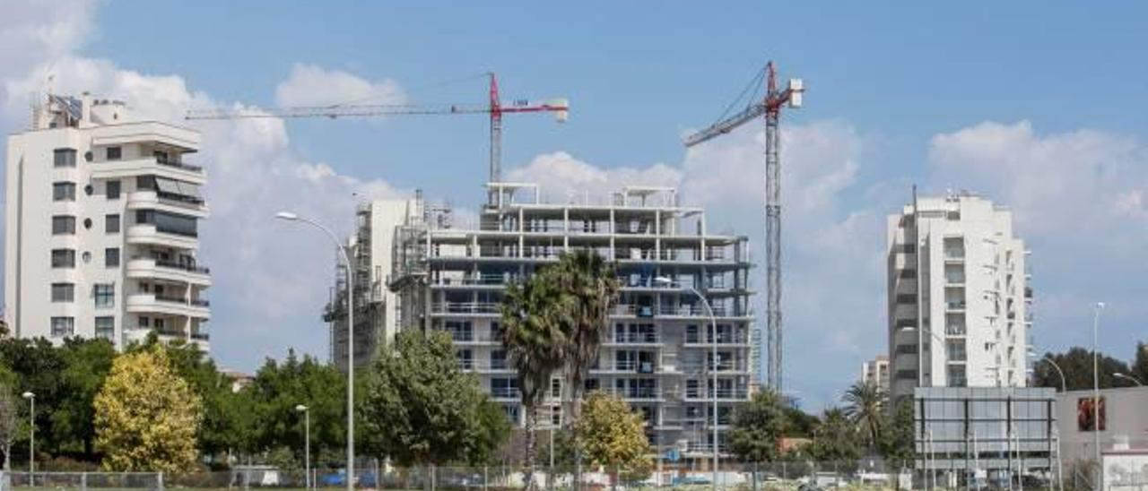 Edificios en construcción en la Playa de San Juan, una de las zonas con más actividad.