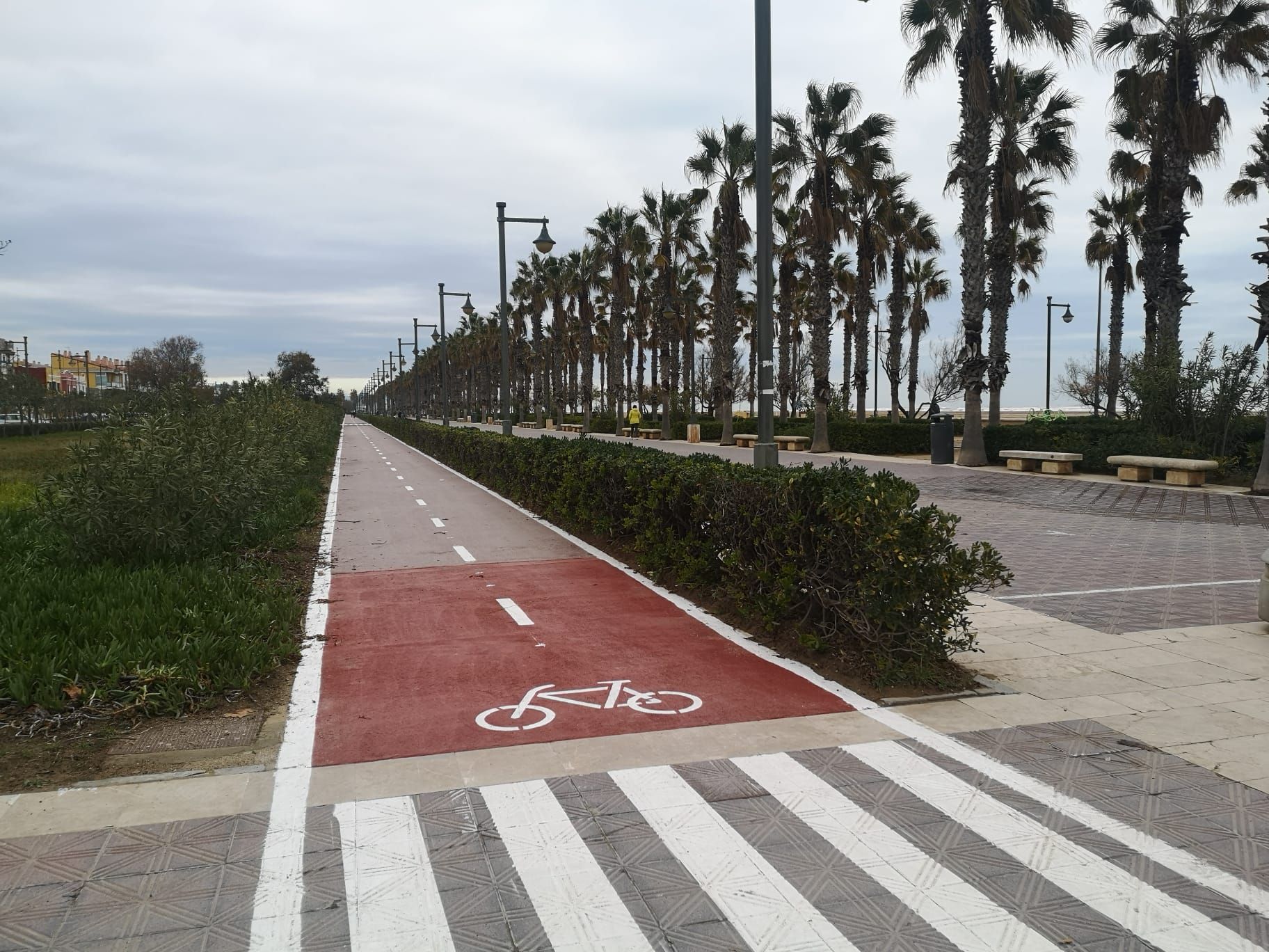 El Paseo Marítimo estrena su reformado carril bici