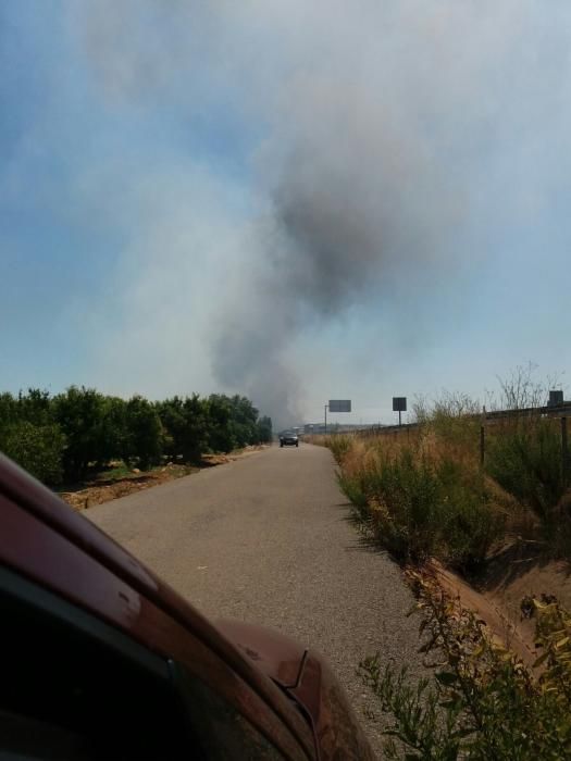 Incendio de dos camiones en la A-7 en Nules