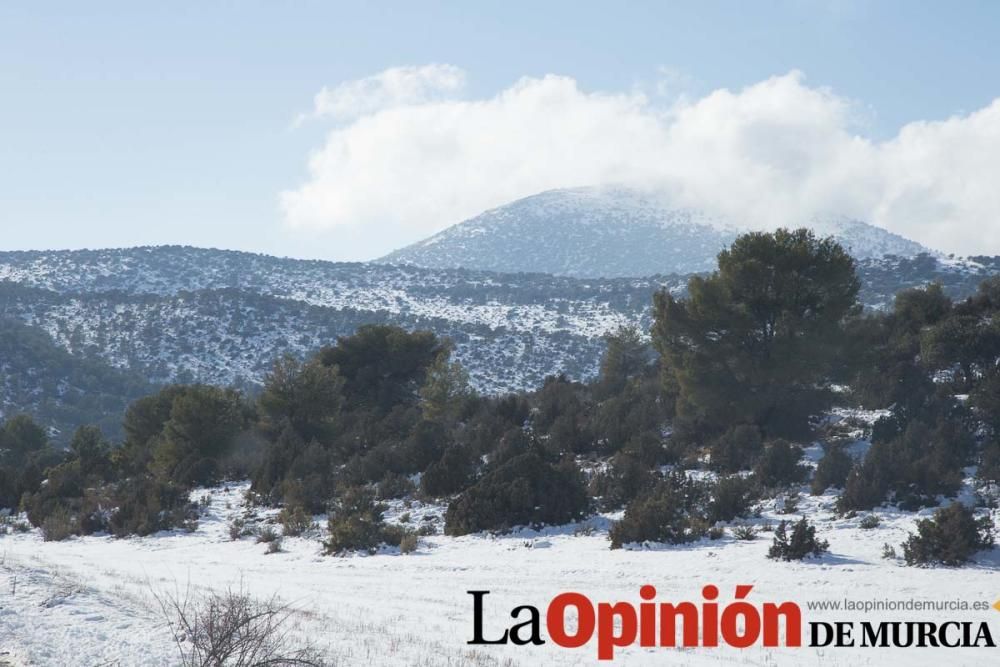 Nieve en el Noroeste