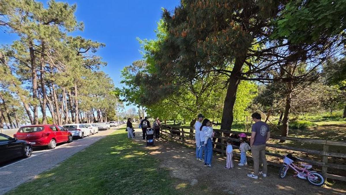 La zona de aparcamiento instalada por el Concello en la calle Condesa, donde los vecinos quieren recuperar el doble sentido de circulación.
