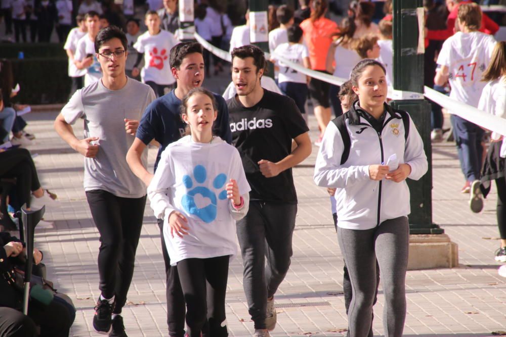 Carrera solidaria de Cotes Baixes en Alcoy