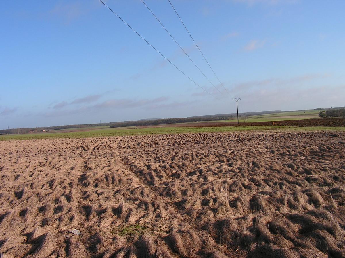 Campo en barbecho