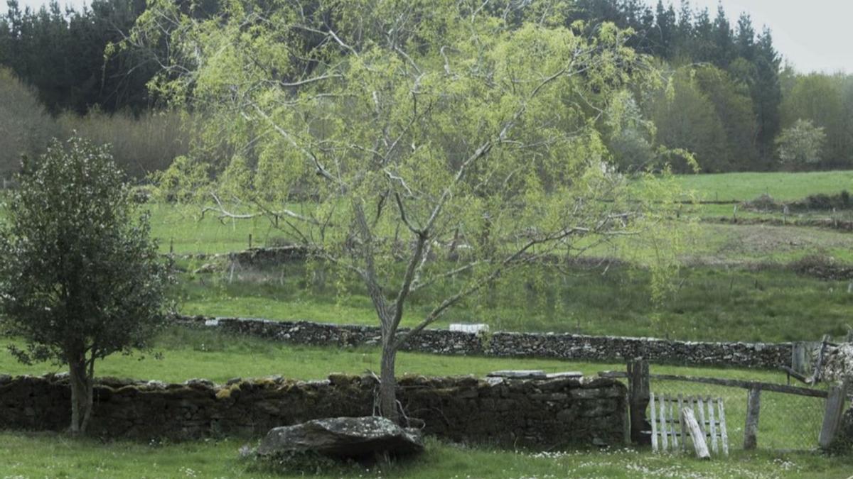 Paisaje con valados expuesto en el Ágora.