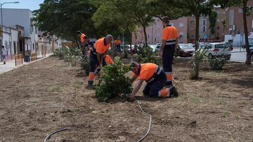 Más atención a las zonas verdes