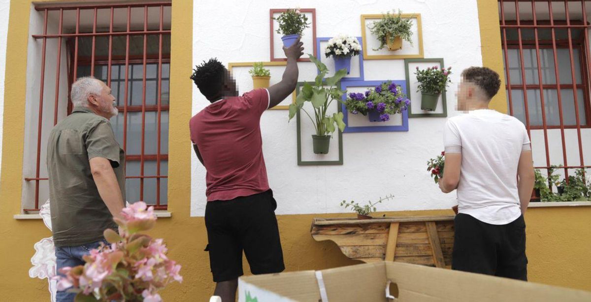 Tarea 8 Cuidado diario de las flores por parte de los usuarios.