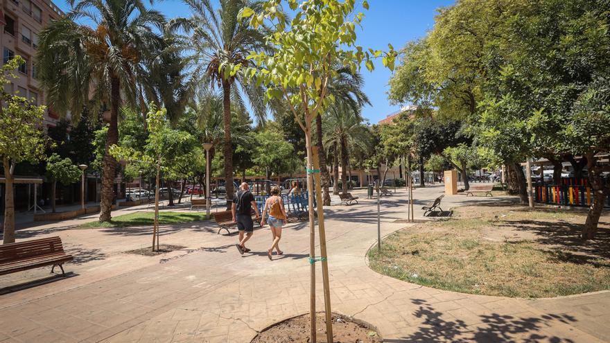 El bipartito de PP y Vox acelera con el plan sombra y ahora habla de llegar a 10.000 árboles en Elche