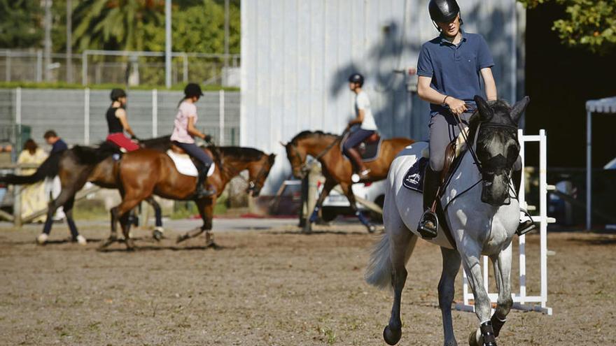 Mozos entrenando con los caballos en la pista de Las Mestas.