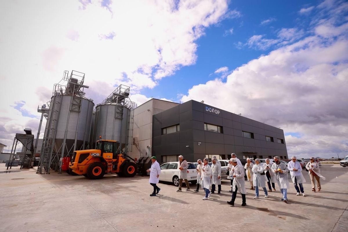 La nueva planta de almedras de Dcoop en Córdoba, en imágenes