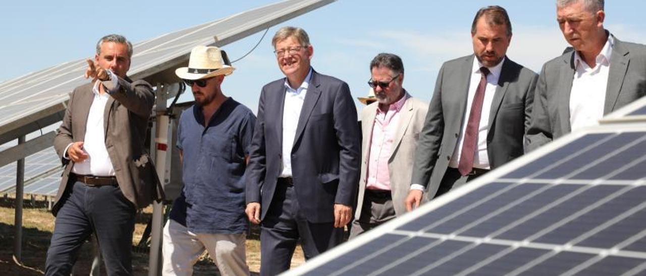 Puig visita un huerto solar en Catral junto al conseller de Economía, Rafael Climent, ayer.  | LEVANTE-EMV