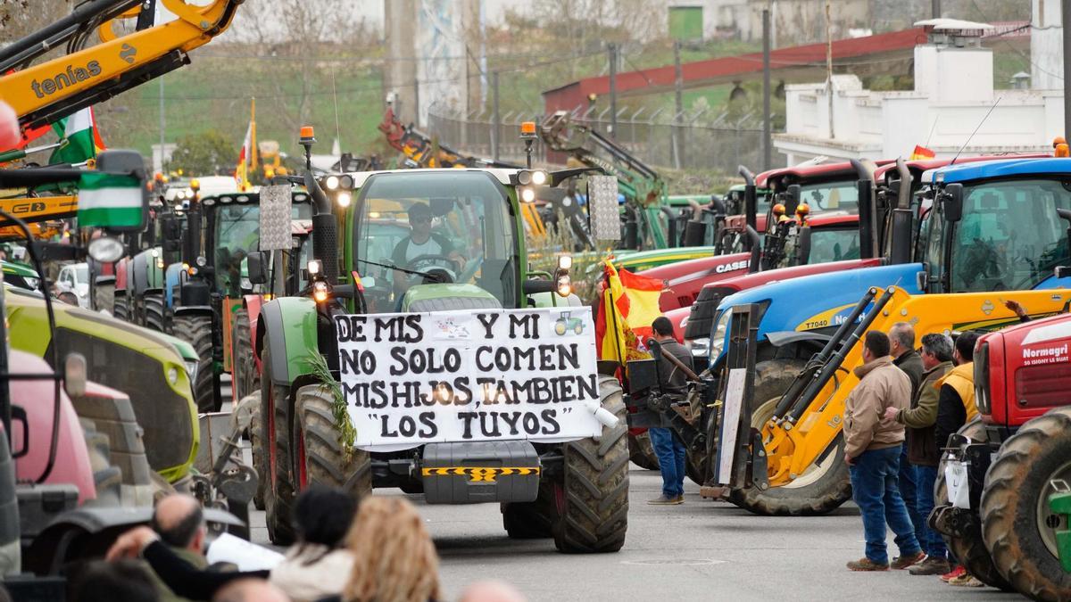 Tractores en una marcha de protesta en Los Pedroches.