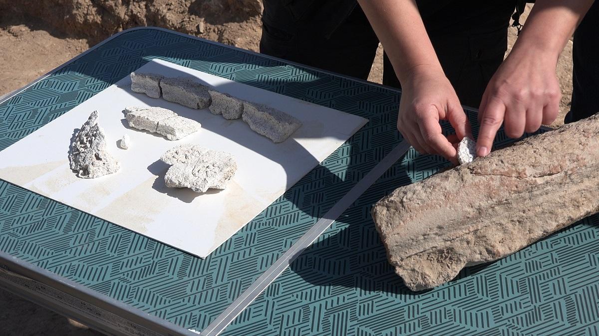 Algunas de las piezas encontradas en la excavación en l'Alfàs del Pi.