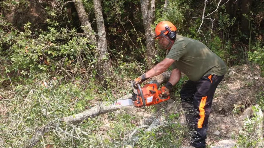 Impulsen els primers crèdits climàtics per millorar la gestió forestal a la Muga