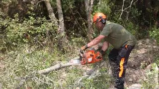 Impulsen els primers crèdits climàtics de les comarques gironines per millorar la gestió forestal a la Muga