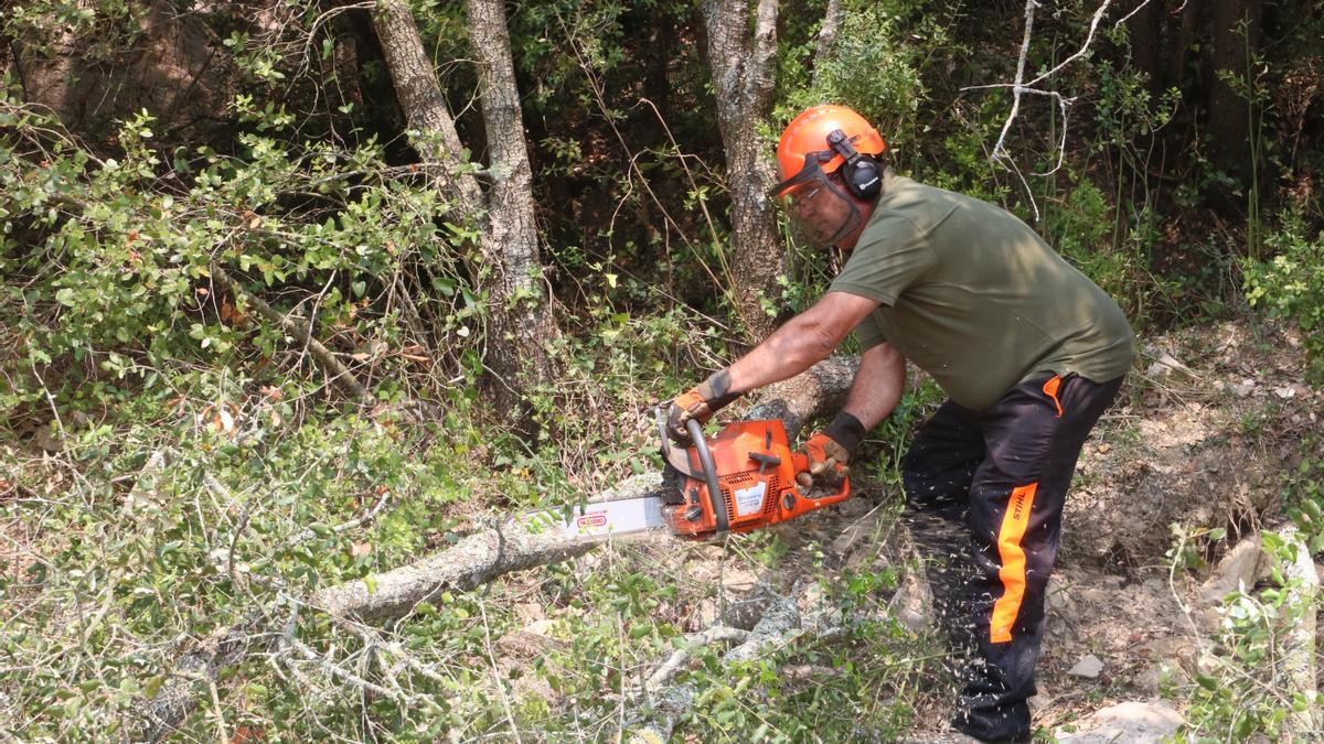 8bcd4mpulsen els primers crèdits climàtics de les comarques gironines per millorar la gestió forestal a la Muga
