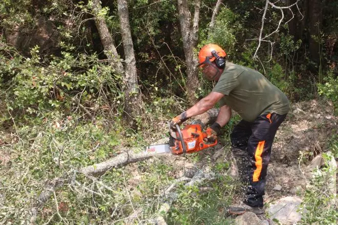 Impulsen els primers crèdits climàtics per millorar la gestió forestal a la Muga