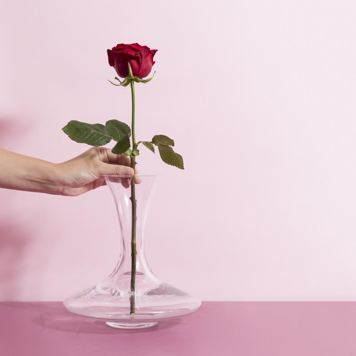 Una rosa en un gerro