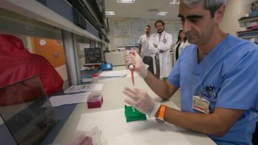 El equipo de facultativos de la unidad de Oncología del Hospital General de Elche.