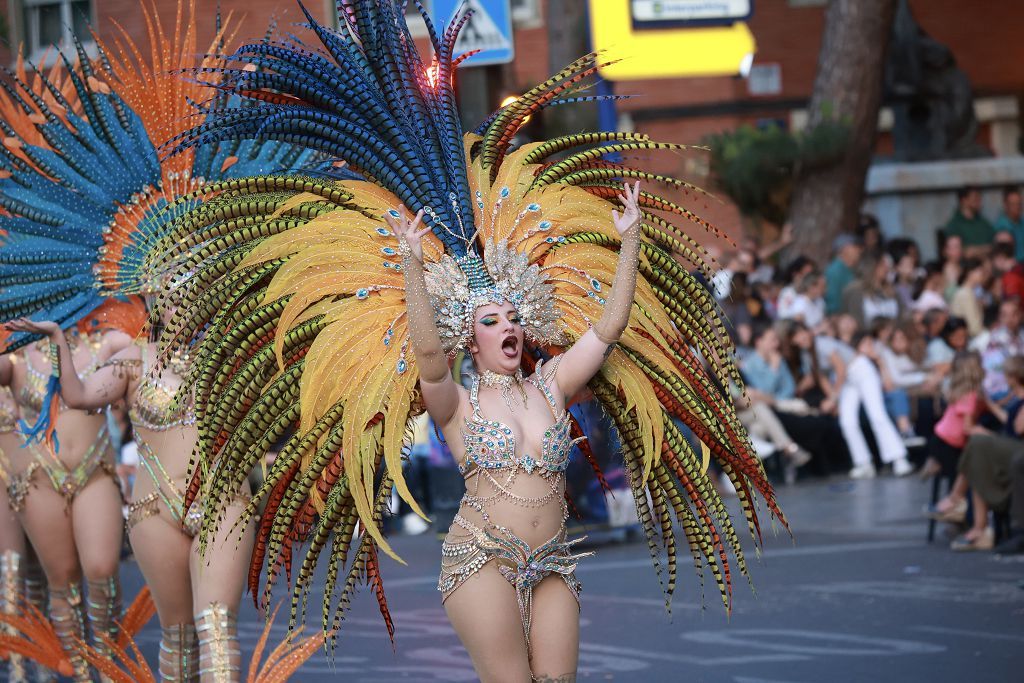Desfile del Testamento de la Sardina 2025