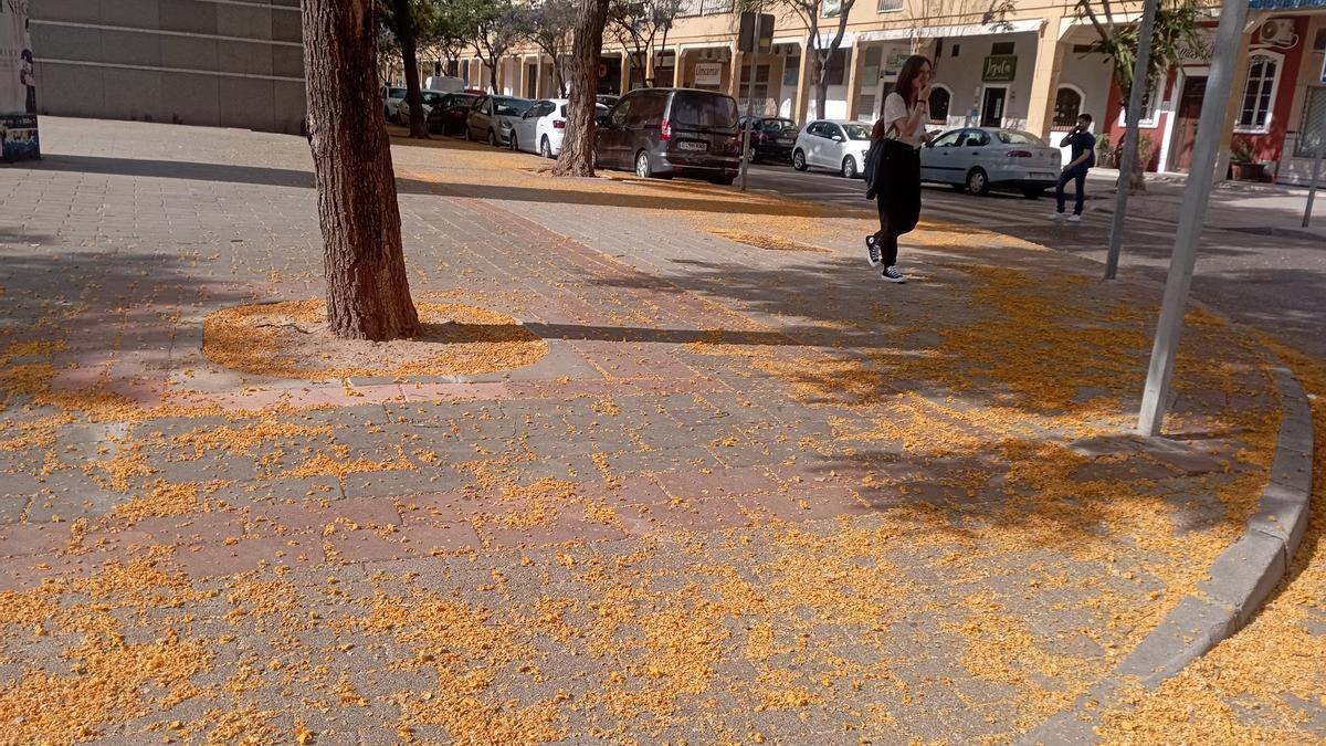 Pétalos de tipuana en una calle de Cortijo Alto a final de mayo.