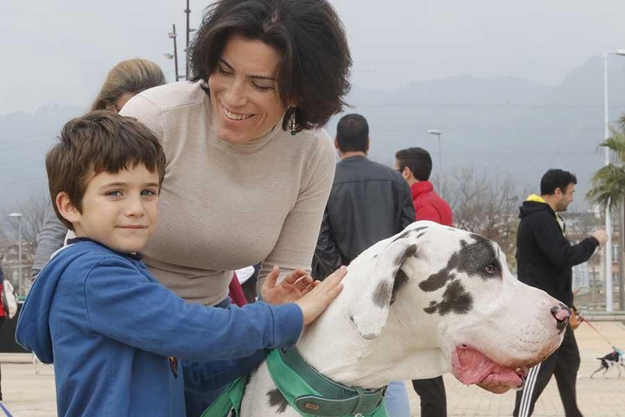 Una día muy perruno en la Canicross de Córdoba