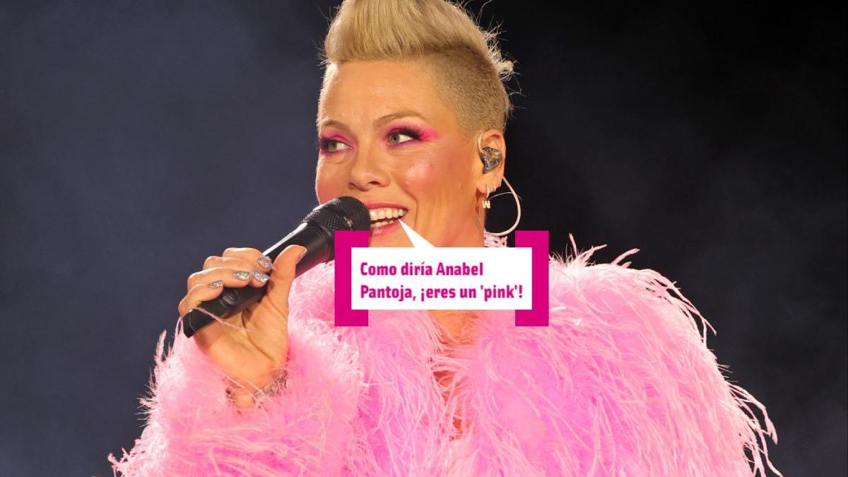 Pink y su sueño frustrado: escribir la canción de 'Baby Shark'