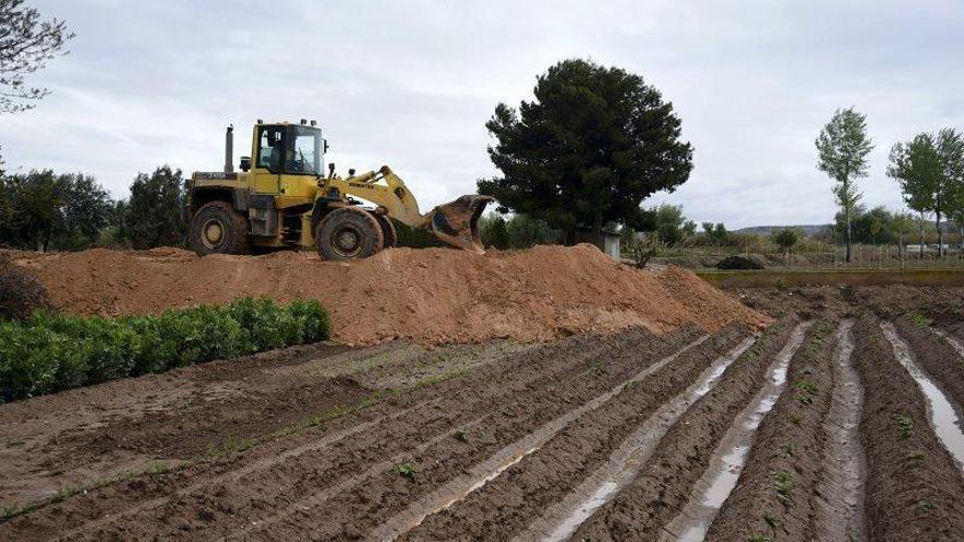 Los agricultores reclaman daños de 2.000 hectáreas anegadas por la crecida del Ebro
