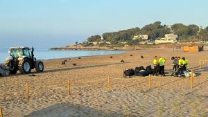 Recogida de basura por la mañana de este Sant Joan en las playas de Tarragona.
