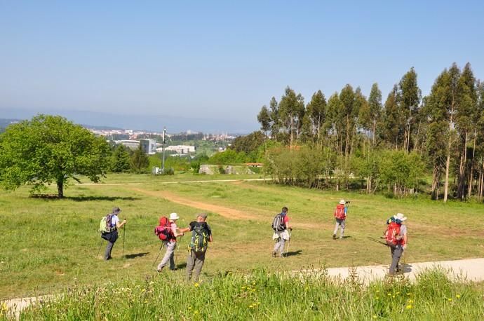 Canarios en el Camino de Santiago