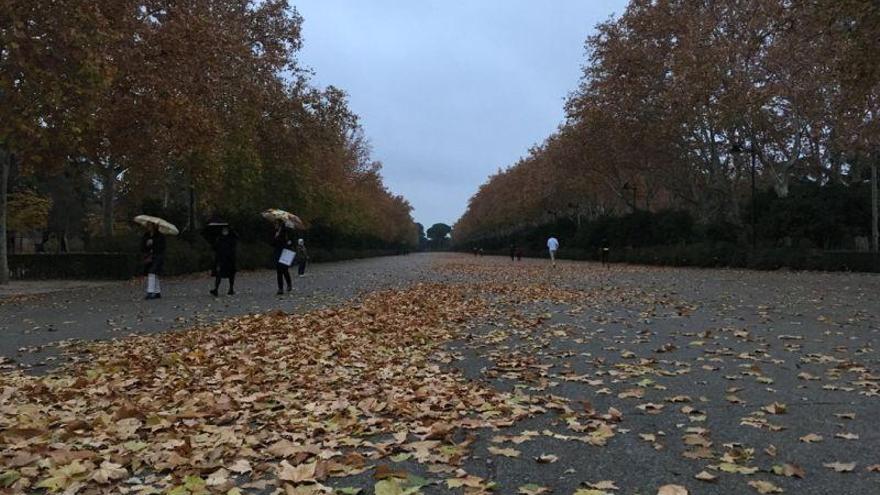 El Ayuntamiento de Madrid cierra al público un sector del Retiro por el fuerte viento