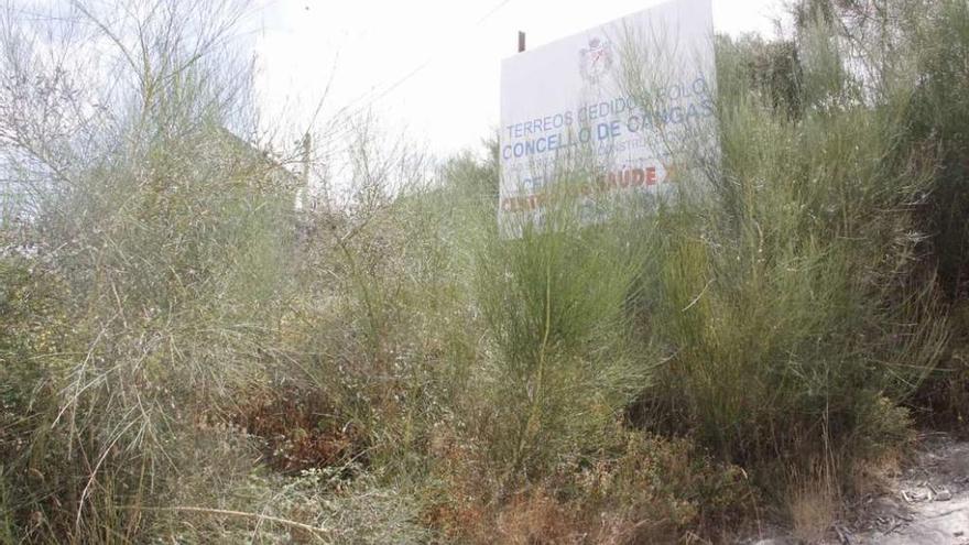 Finca llena de maleza cedida por el Concello para construir el centro de salud Aldán-O Hío. // Santos Álvarez