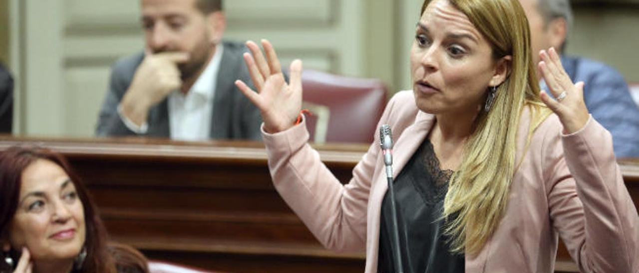 La consejera de Derechos Sociales, Noemí Santana, en el Parlamento.