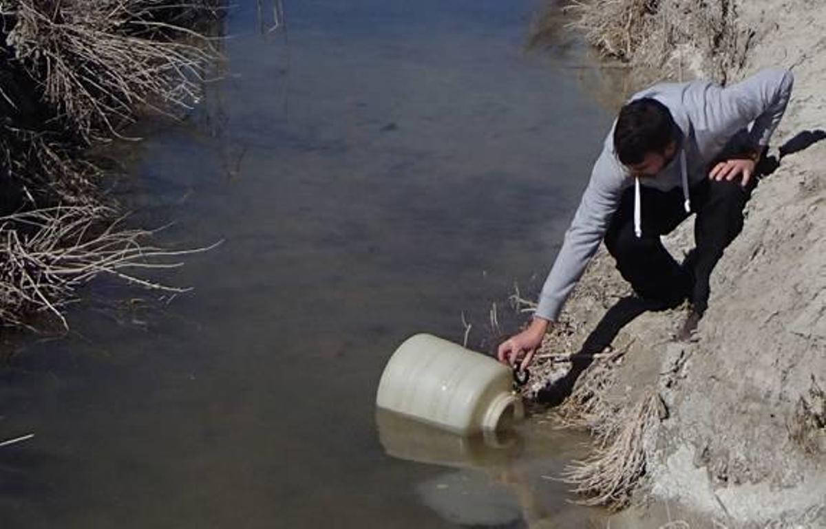 Introducción del fartet en la zona de la Laguna de Villena.