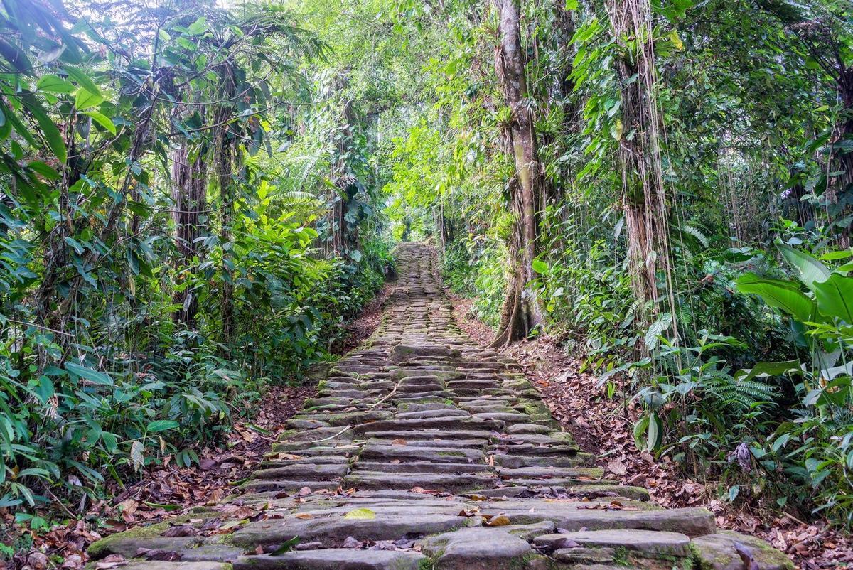 Camino a la Ciudad Perdida, en medio de la selva en el Parque Nacional de Tayrona