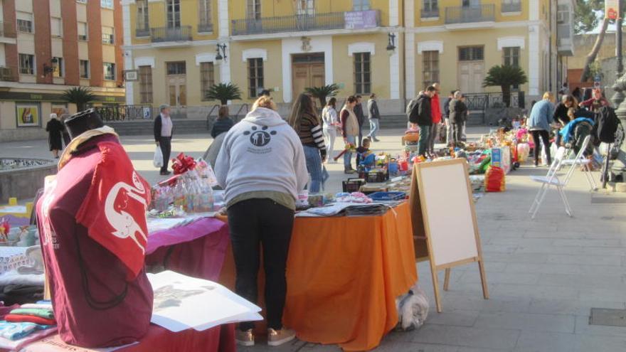 Una de las actividades de la protectora.