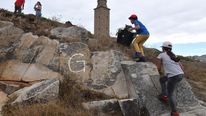 Cincuenta días cuidando la Torre