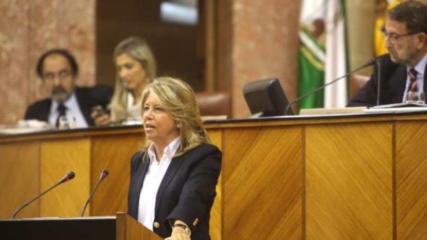 La alcaldesa de Marbella, Ángeles Muñoz, en el Parlamento andaluz.