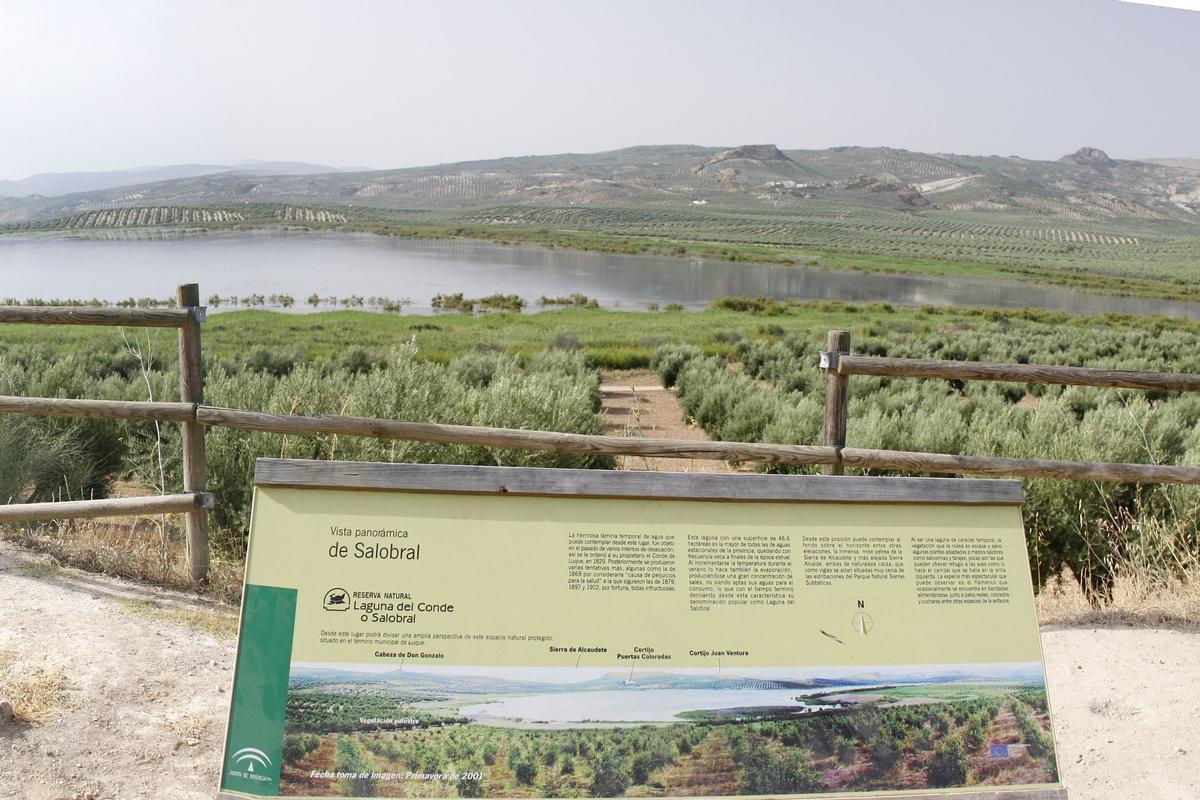 La Junta de Andalucía amplía la protección de la Laguna del Salobral con la adquisición de nuevas parcelas.