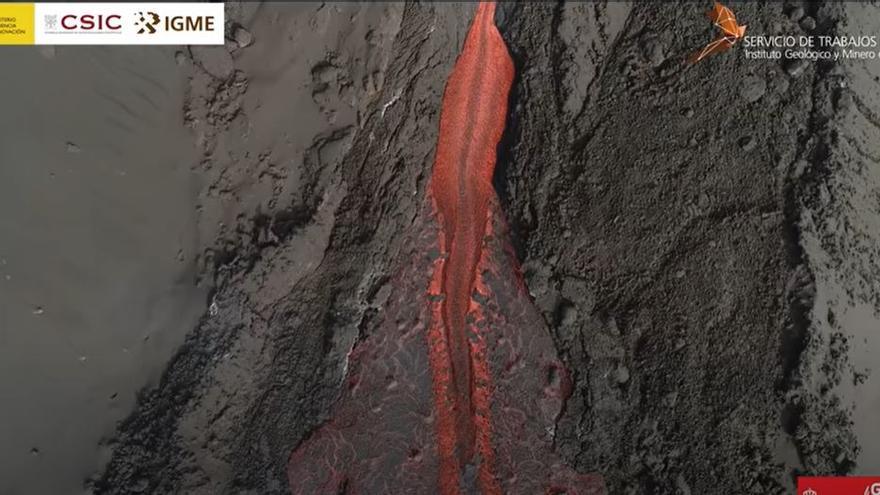 Las viñas reposan entre las cenizas del volcán de La Palma