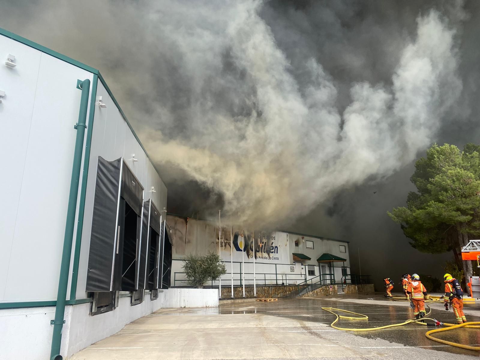 Incendio en la planta de Huevos Guillén en Sinarcas