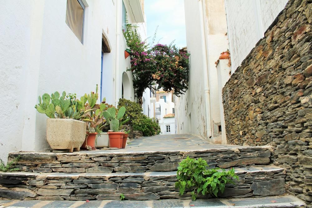 La força de terra i mar a Cadaqués i Cap de Creus