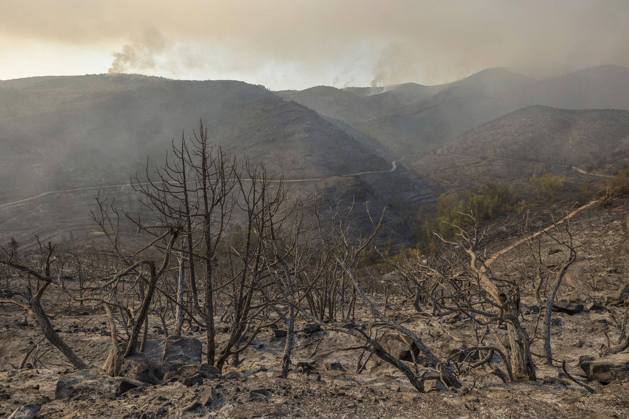 Declaración zonas catástroficas por incendios forestales