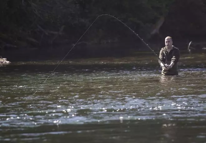 Picados con el salmón en los ríos asturianos: “Cada vez entran más tarde”