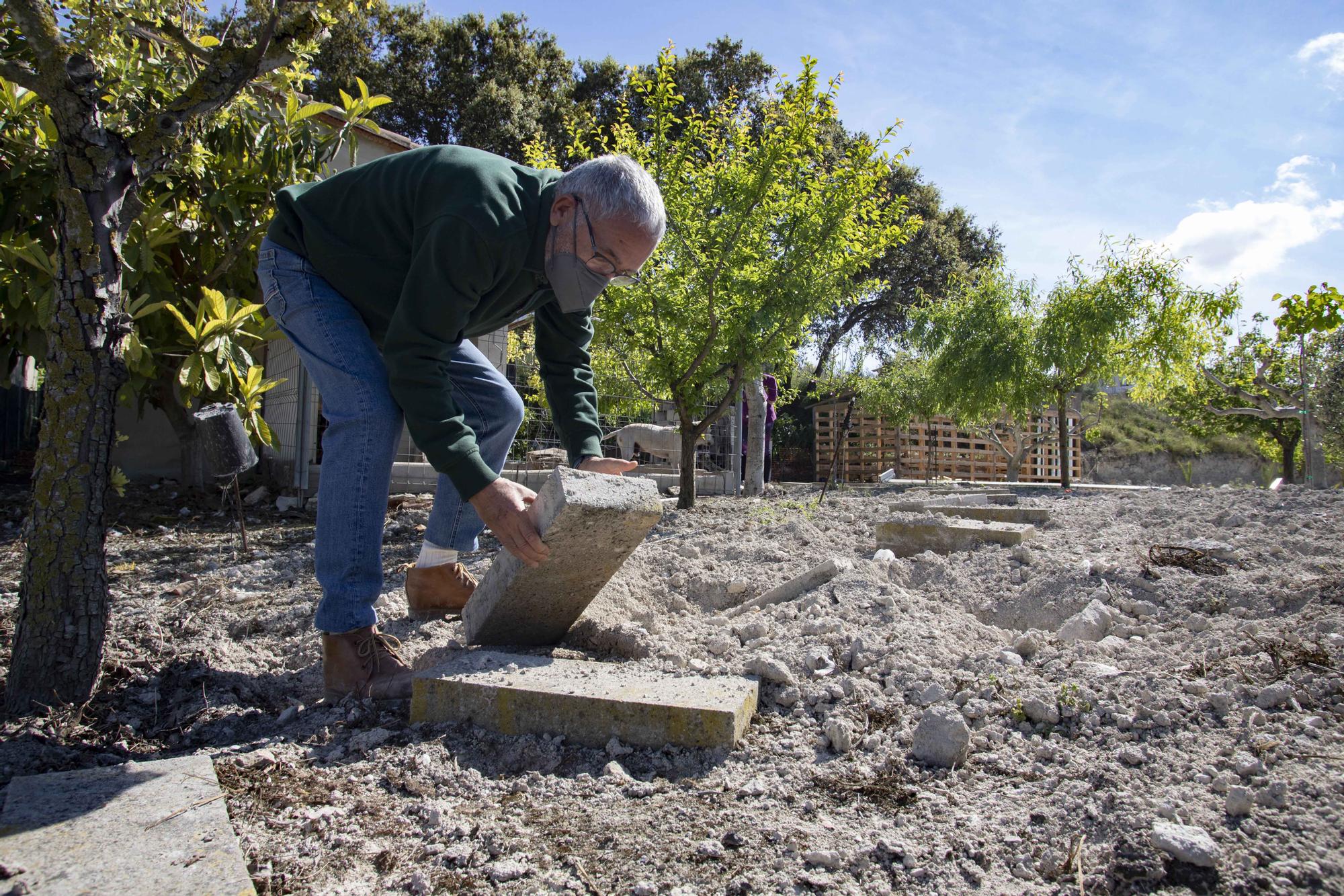 Los jabalíes destrozan parcelas de la urbanización Bixquert