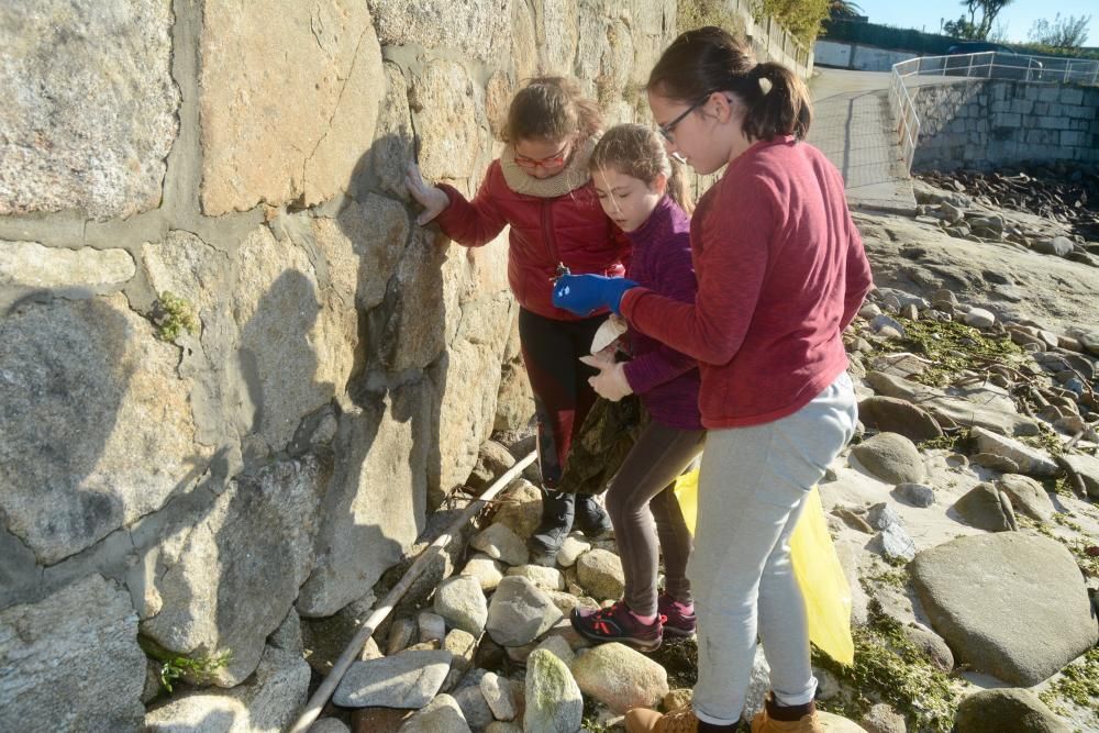 Escolares de Poio retiran de la playa de Chancelas hasta 400 kilos de basura