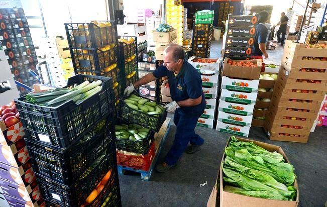 BENITO ALVAREZ PROVEEDOR CANARIO FRUTAS VERDURAS