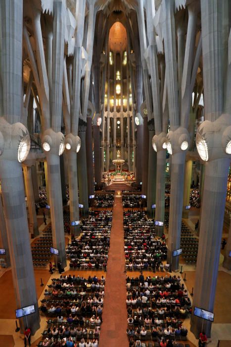 La Iglesia insta a velar por dignidad, superando toda diferencia y exclusión